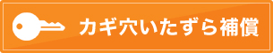 カギ穴いたずら補償